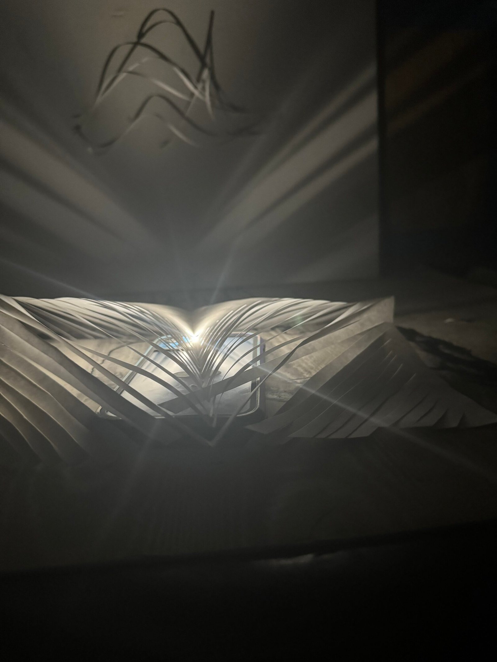 Artistic work – Light and Shadow