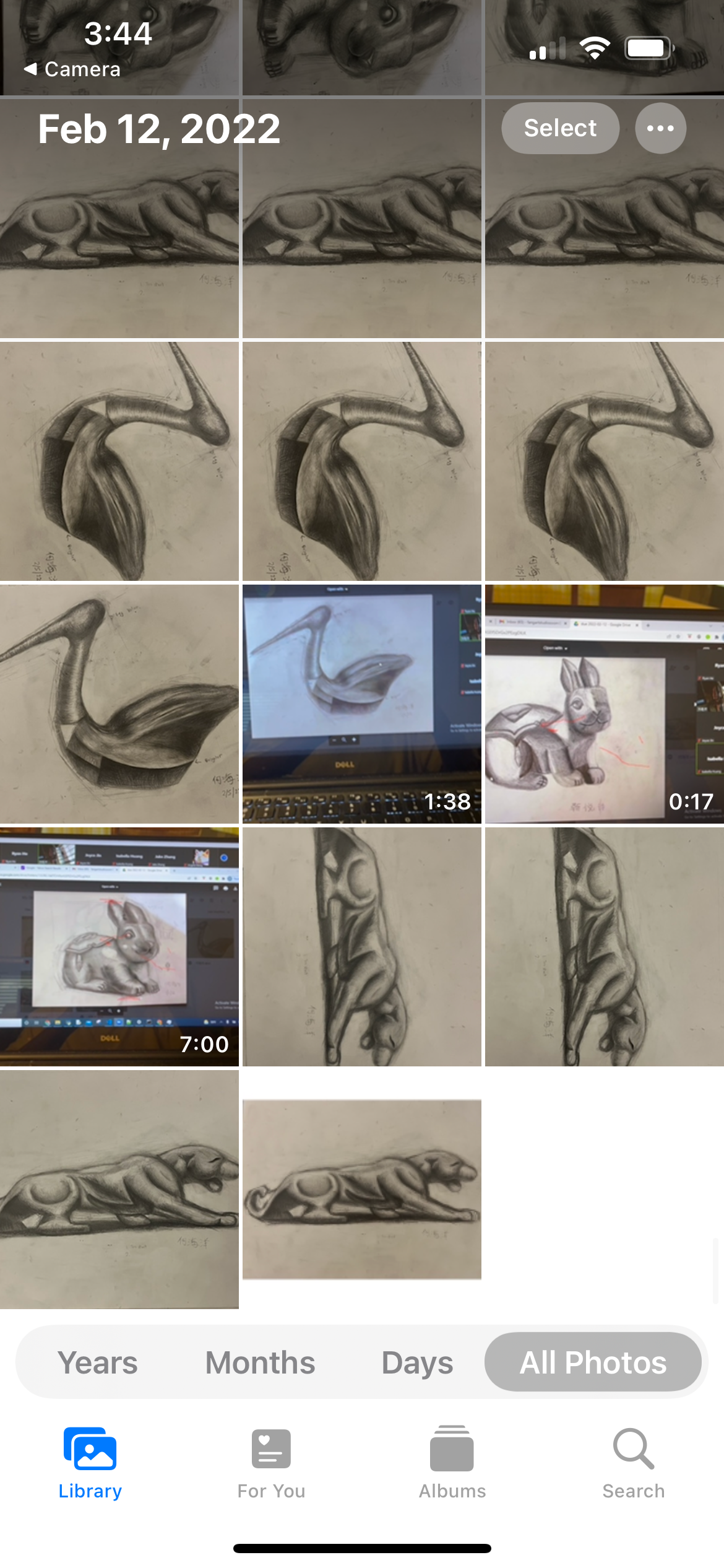 Art Practice – Animals