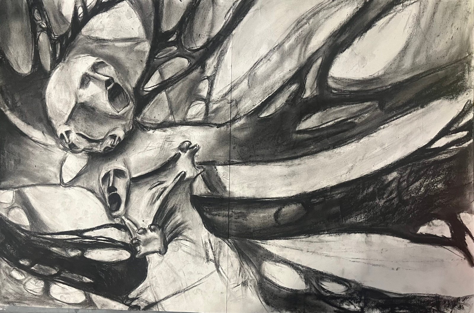 Art Practice – Charcoal Drawing More