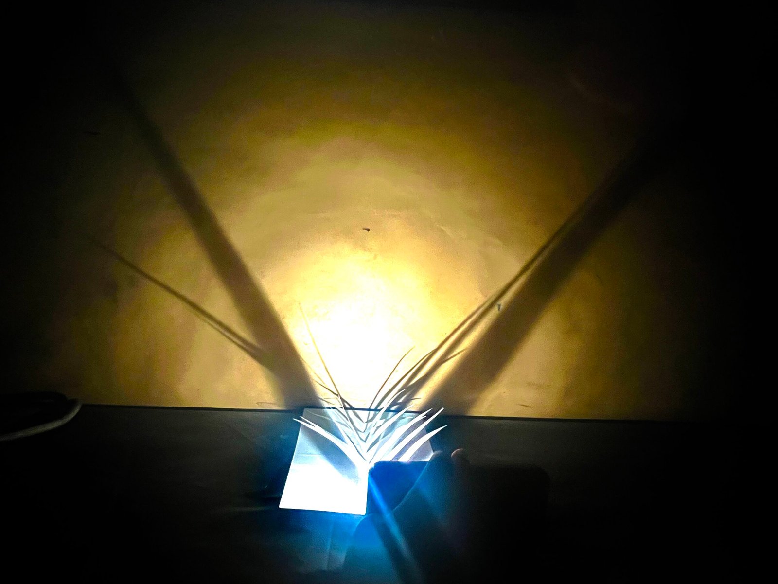 Artistic Work – Wings and Shadow 